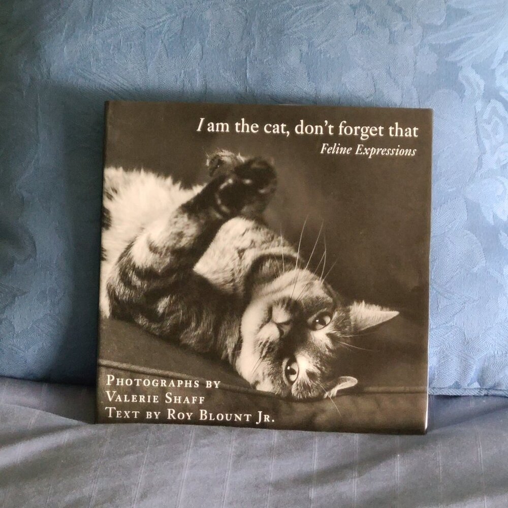 I am the cat, don't forget that - Feline Expressions